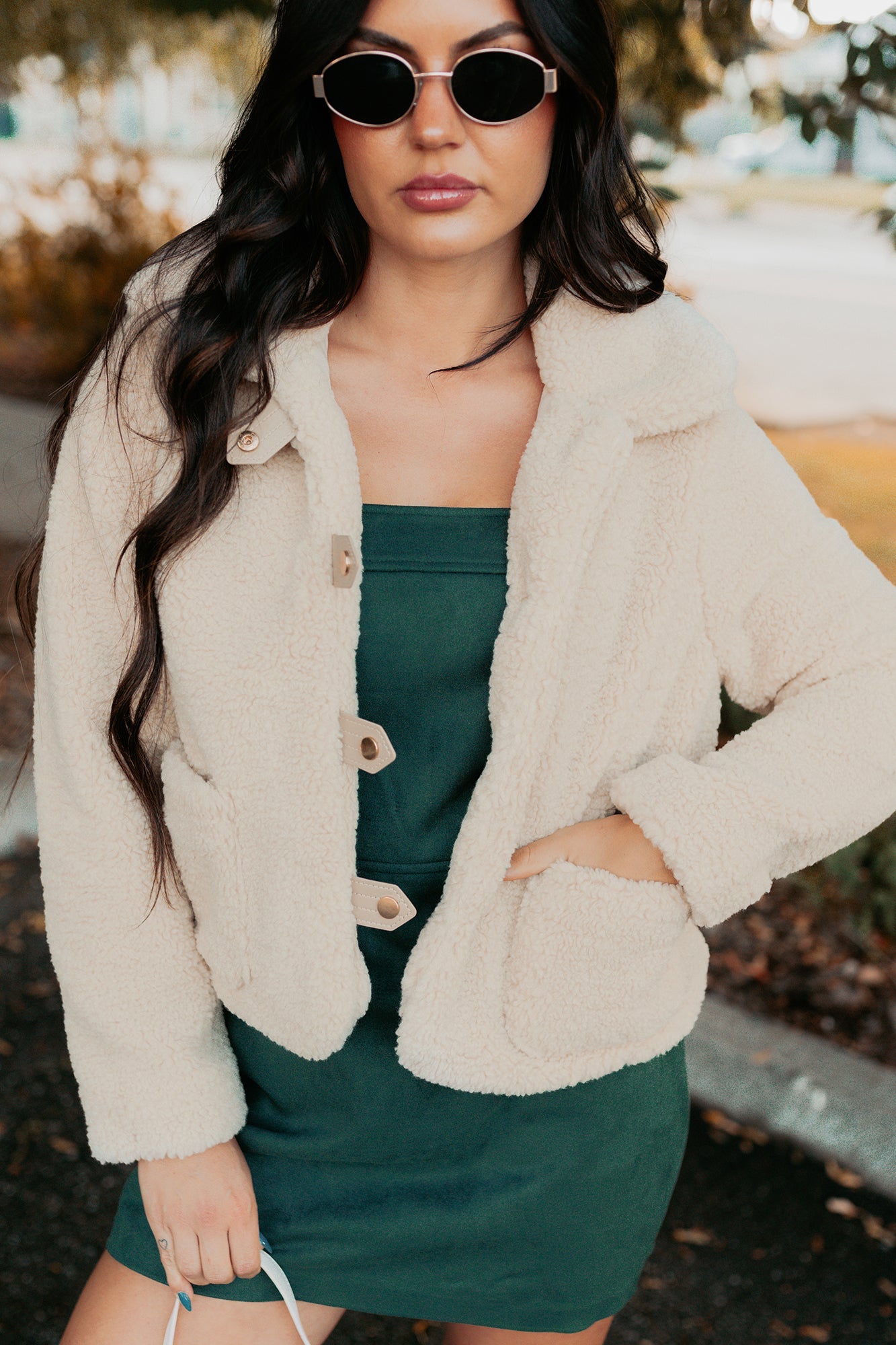 Mountain Haze Snap Button Up Sherpa Jacket (Cream)